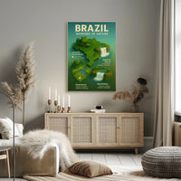 Brazil's Natural Wonders Illustrated Infographic Poster