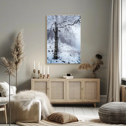 Winter Serenity Poster