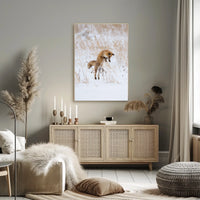 Red Fox Leaping in Snow Animal Poster