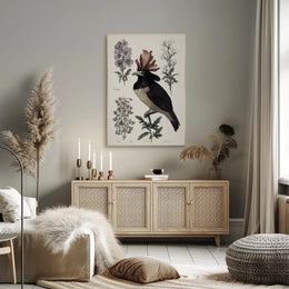 Vintage Botanical Bird Illustration Educational or Infographic Poster PosterGoat