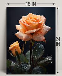 Dew-Kissed Rose Poster PosterGoat