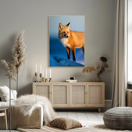 Majestic Fox In The Wild Poster