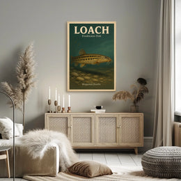 Loach Freshwater Fish Poster