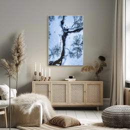 Winter Stream Aerial View Poster