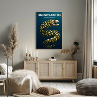 Snowflake Eel Echidna nebulosa Poster