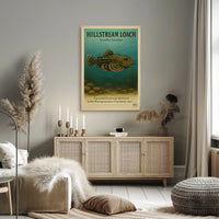 Hillstream Loach Sewellia Lineolata Poster