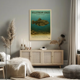 Hillstream Loach Sewellia Lineolata Poster