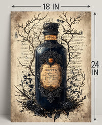 The Enchanted Elixir Poster