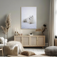 Serene Arctic Fox Tranquility Animal Poster