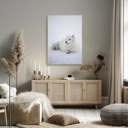 Serene Arctic Fox Tranquility Animal Poster