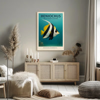 Heniochus Butterflyfish Poster
