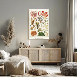Great Barrier Reef Corals Poster