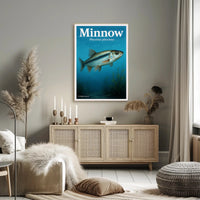 Minnow - Phoxinus phoxinus Poster PosterGoat