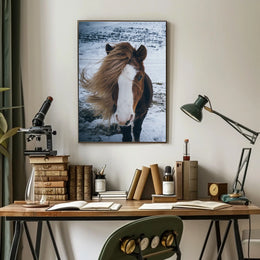 Majestic Icelandic Horse in Winter Animal Poster