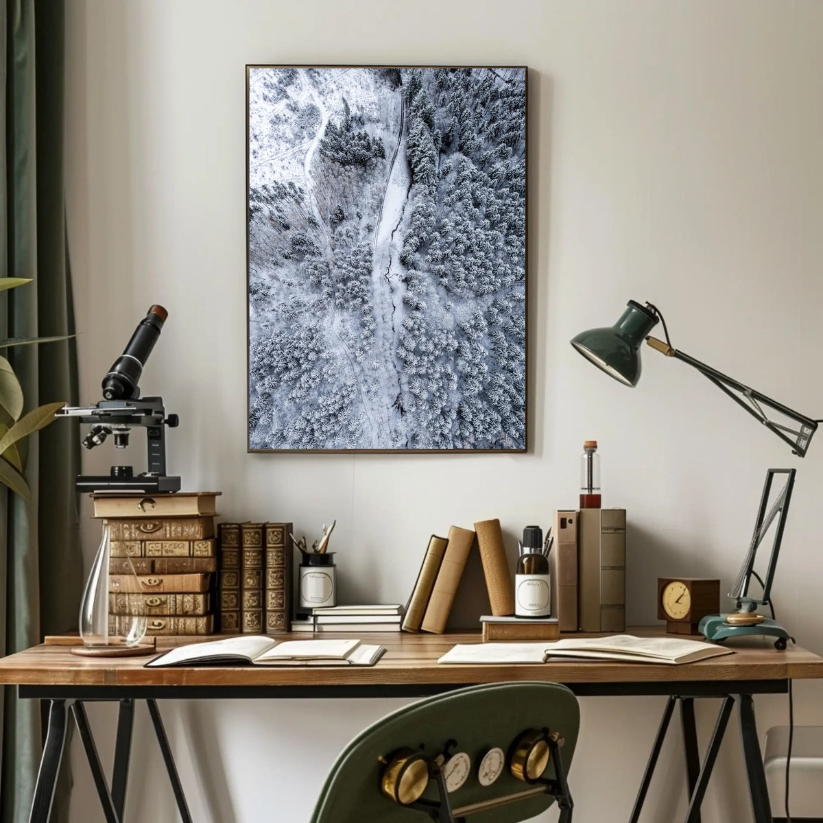 Winter Wonderland From Above Poster