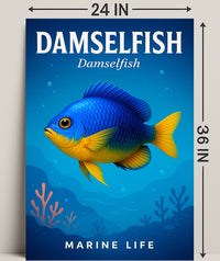 Damselfish Marine Life Poster PosterGoat