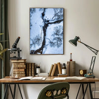 Winter Stream Aerial View Poster