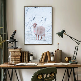 Winter Serenity A Lone Sheep Poster