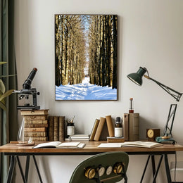 Winter Pathway Poster