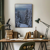 Serene Winter Landscape with Ski Tracks National Park Poster