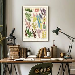 Great Barrier Reef Corals Poster