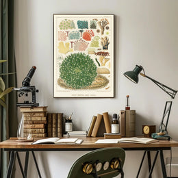 Great Barrier Reef Corals Poster