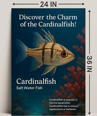 Discover the Charm of the Cardinalfish Poster PosterGoat