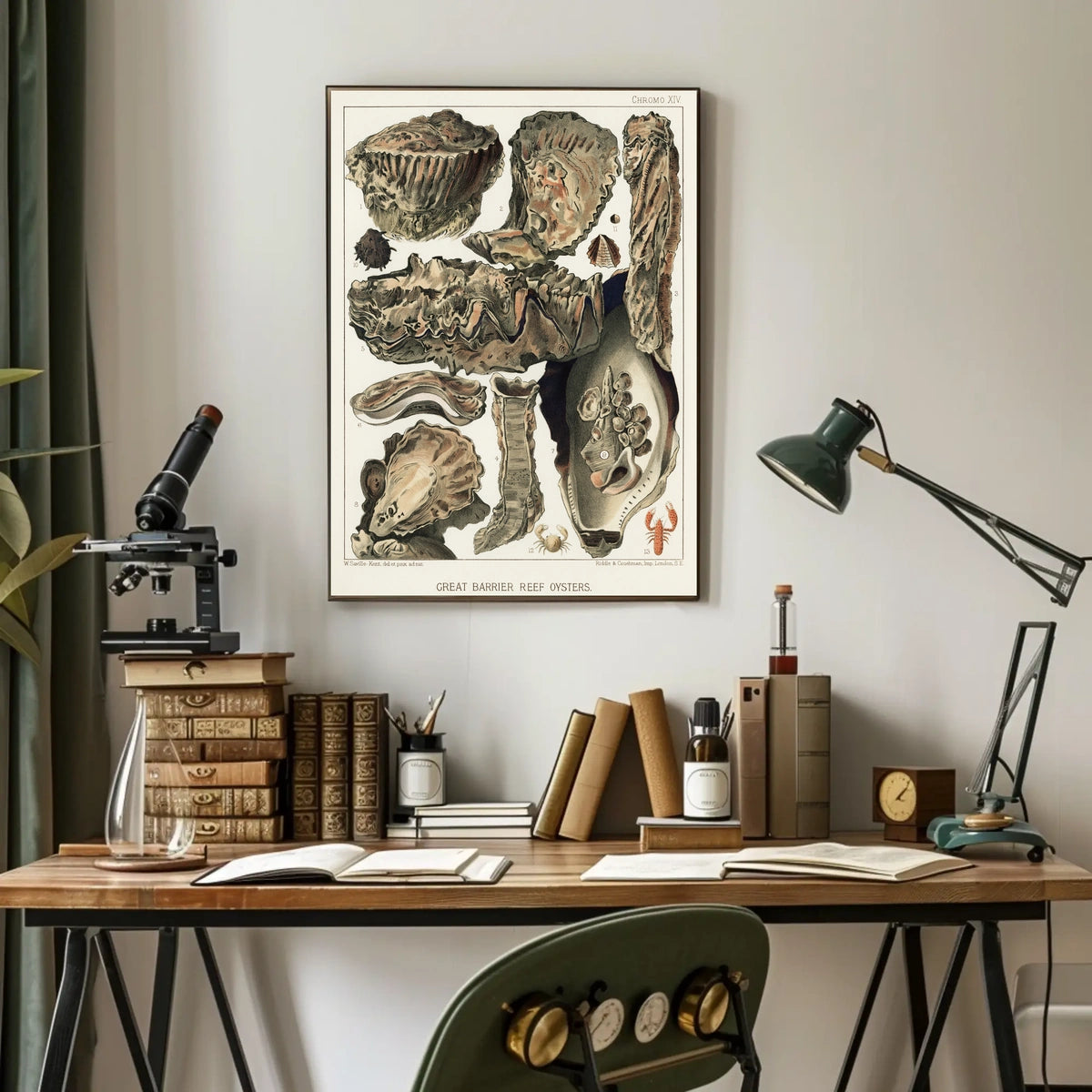 Great Barrier Reef Oysters Poster