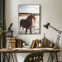 Winter Horse in the Snow Poster