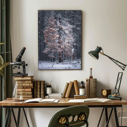 WinterS Embrace Poster
