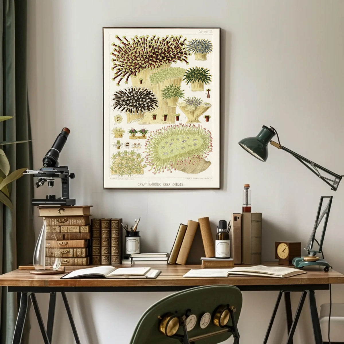 Great Barrier Reef Corals Poster