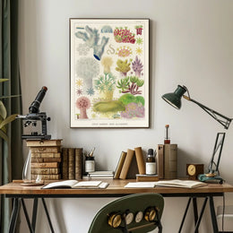 Great Barrier Reef Alcyonaria Poster