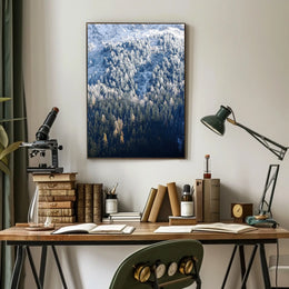 Winter Forest Landscape Poster