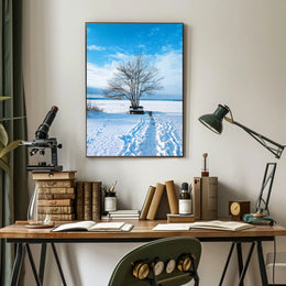 Winter Serenity Poster