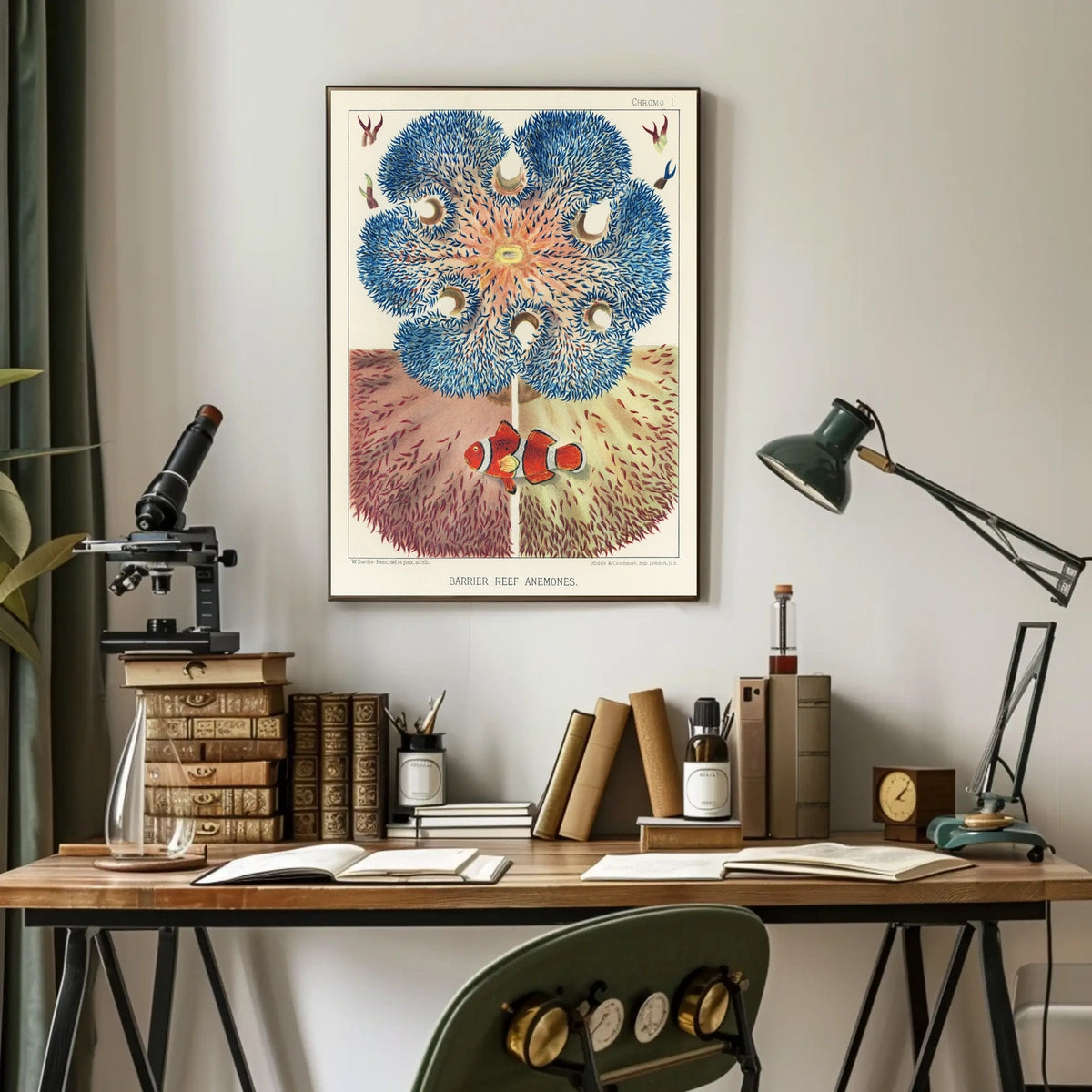 Barrier Reef Anemones Poster