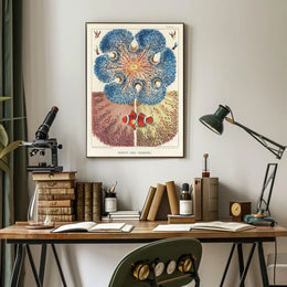 Barrier Reef Anemones Poster
