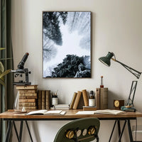 Winter Canopy Poster