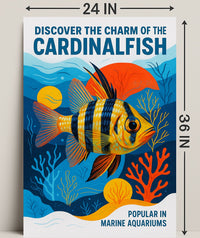 Discover the Charm of the Cardinalfish Poster PosterGoat