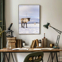 Winter Wilderness Majestic Reindeer Poster