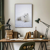 Serene Arctic Fox Tranquility Animal Poster