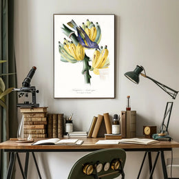 Exotic Bird on Banana Plant Poster