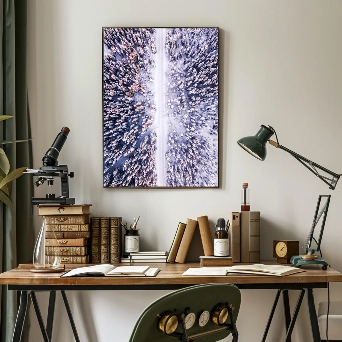 Winter Wonderland Aerial View Poster