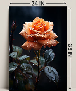 Dew-Kissed Rose Poster PosterGoat