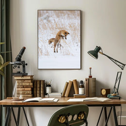 Red Fox Leaping in Snow Animal Poster