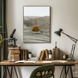 Solitary Autumn Tree Poster