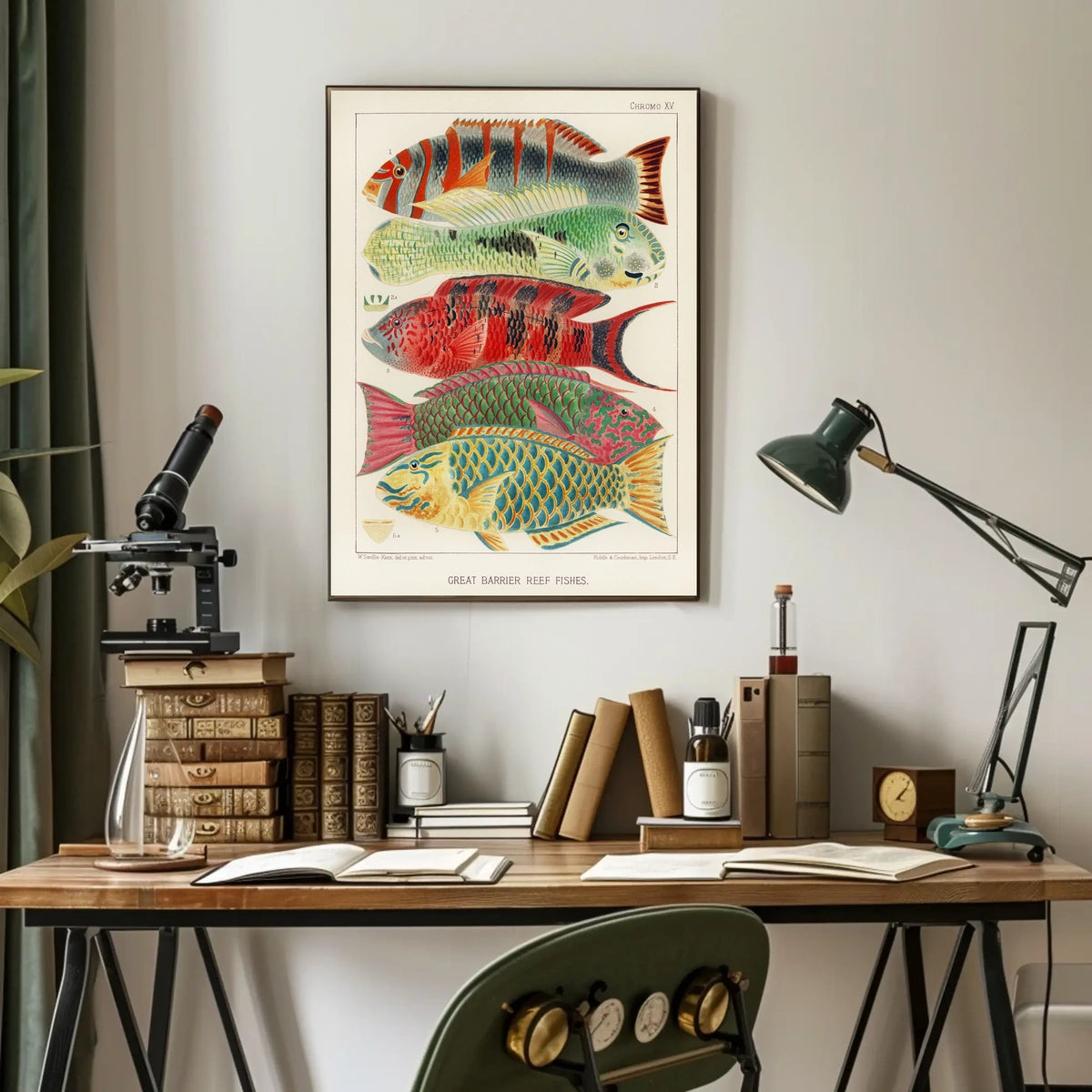 Great Barrier Reef Fishes Poster