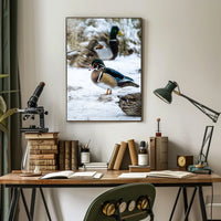 Winter Serenity Ducks In Snow Poster
