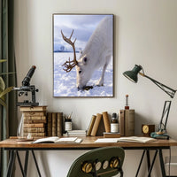 Majestic Reindeer In Snow Poster