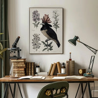 Vintage Botanical Bird Illustration Educational or Infographic Poster PosterGoat