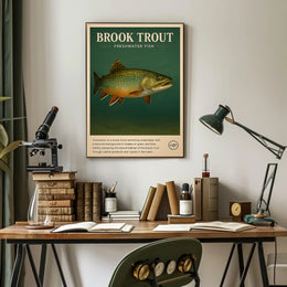 Brook Trout Freshwater Fish Poster
